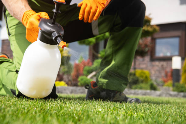 Best Bird Control  in Milan, OH