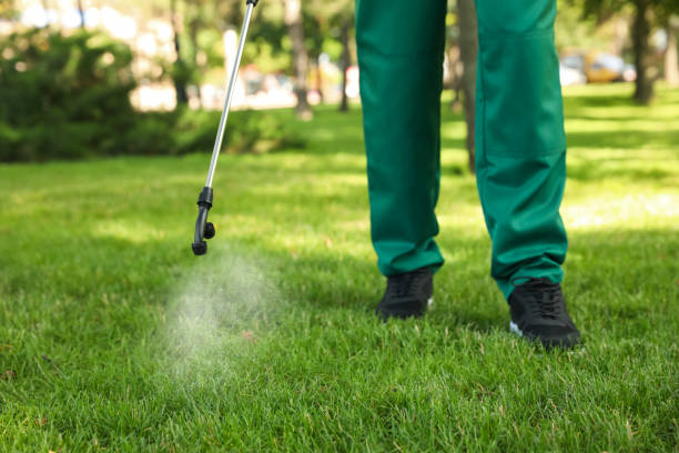 Best Local Pest Control Services  in Milan, OH