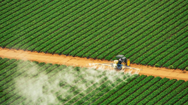 Best Commercial Pest Control Services  in Milan, OH