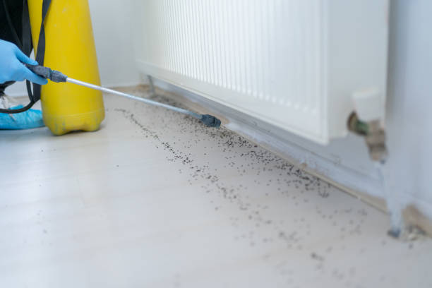 Best Pest Inspection Near Me  in Milan, OH
