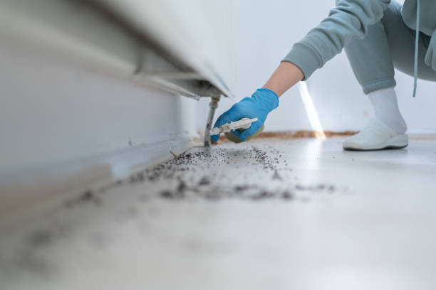 Best Rat Extermination Near Me  in Milan, OH